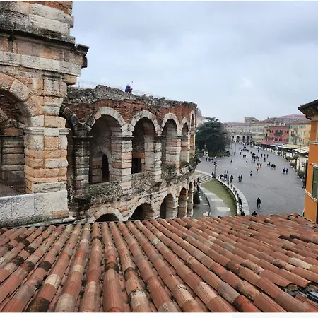 Vista Arena Di *